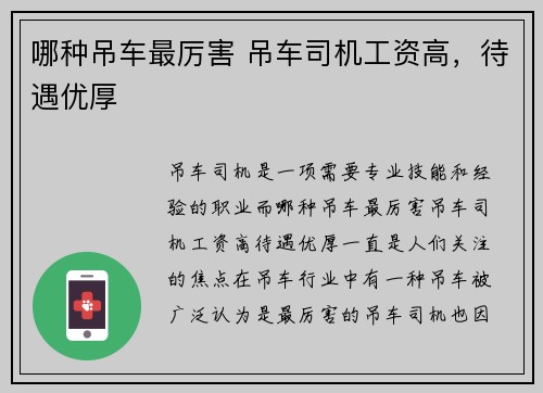 哪种吊车最厉害 吊车司机工资高，待遇优厚