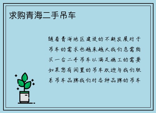 求购青海二手吊车
